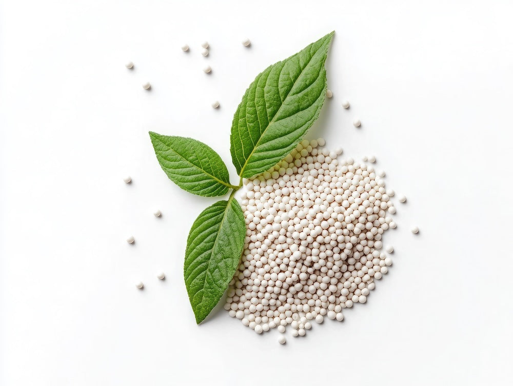 SOREVNA Foot Creams Use Key Ingredients to Lock In Moisture